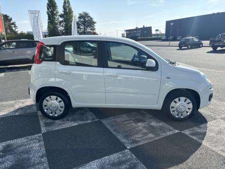 FIAT Panda 1.2 8v 69ch S&S Easy  Euro6D à vendre à Châteauroux - Image n°4