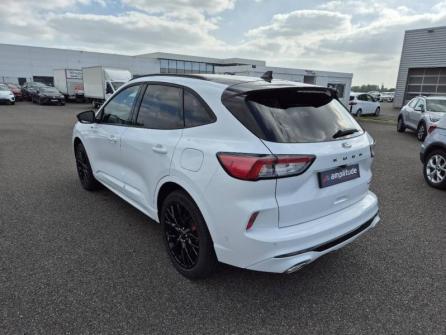 FORD Kuga 2.5 Duratec 190ch FHEV ST-Line X BVA i-AWD à vendre à Montargis - Image n°7