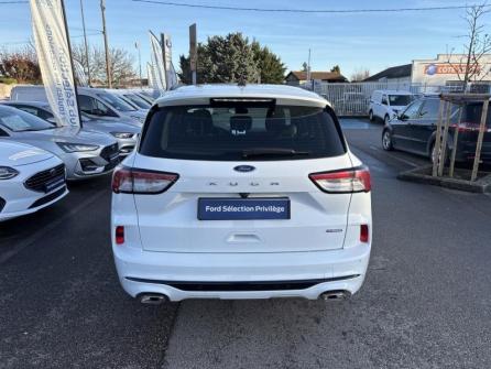 FORD Kuga 2.5 Duratec 190ch FHEV E85 ST-Line Business BVA à vendre à Beaune - Image n°6